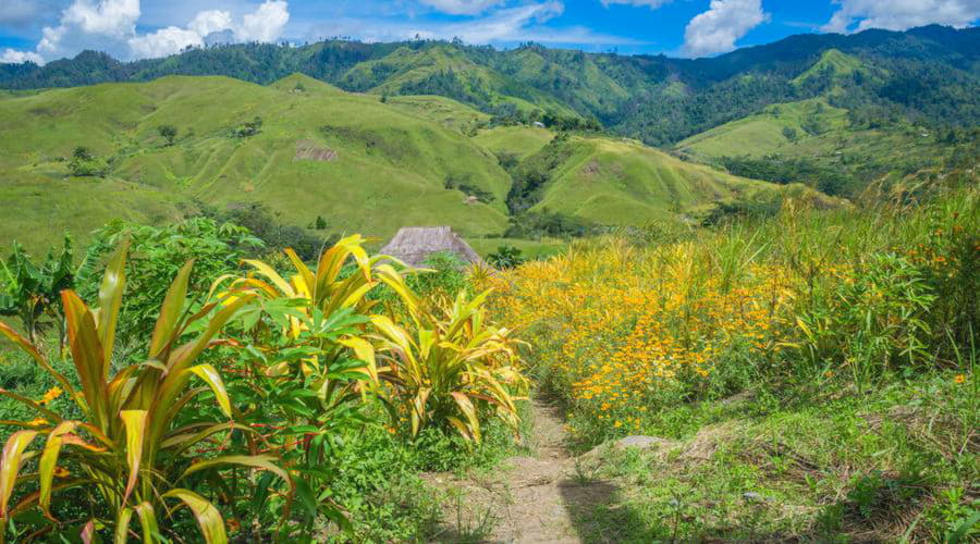 Onze autoverhuurservices bieden een gevarieerde selectie van voertuigen in Goroka.